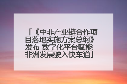 《中非产业链合作项目落地实施方案总纲》发布 数字化平台赋能非洲发展驶入快车道