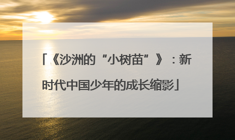 《沙洲的“小树苗”》：新时代中国少年的成长缩影