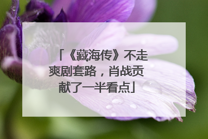 《藏海传》不走爽剧套路，肖战贡献了一半看点