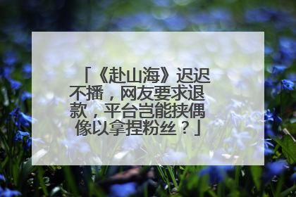《赴山海》迟迟不播，网友要求退款，平台岂能挟偶像以拿捏粉丝？