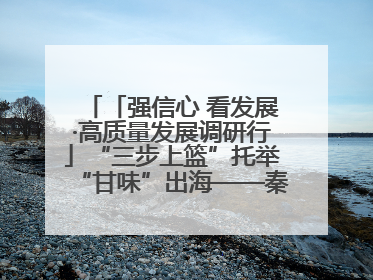 「强信心 看发展·高质量发展调研行」“三步上篮”托举“甘味”出海——秦州大樱桃高质量发展动作分解