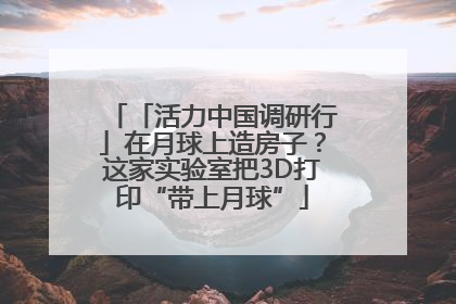 「活力中国调研行」在月球上造房子？这家实验室把3D打印“带上月球”