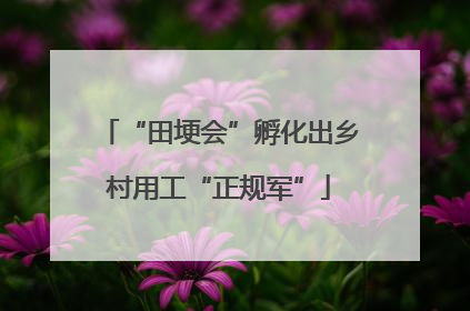 “田埂会”孵化出乡村用工“正规军”