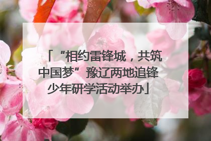 “相约雷锋城，共筑中国梦”豫辽两地追锋少年研学活动举办