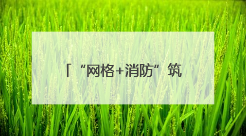 “网格+消防”筑牢辖区安全防线