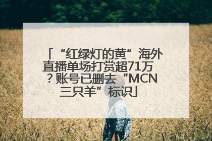 “红绿灯的黄”海外直播单场打赏超71万？账号已删去“MCN三只羊”标识