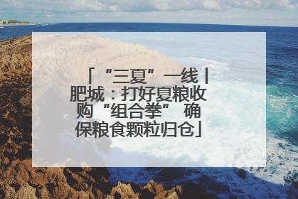 “三夏”一线丨肥城：打好夏粮收购“组合拳” 确保粮食颗粒归仓