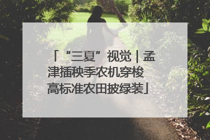 “三夏”视觉｜孟津插秧季农机穿梭 高标准农田披绿装