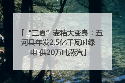 “三夏”麦秸大变身：五河县年发2.5亿千瓦时绿电 供20万吨蒸汽