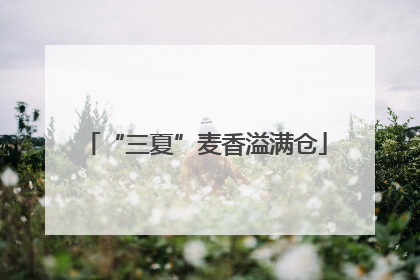 “三夏”麦香溢满仓