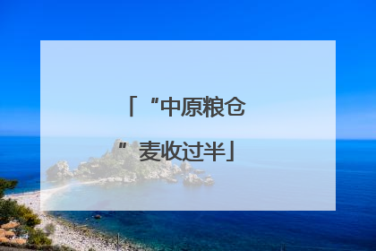“中原粮仓”麦收过半