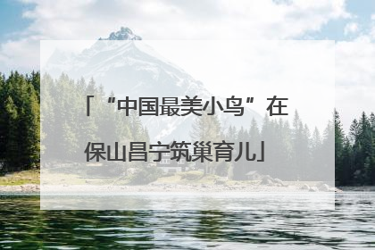 “中国最美小鸟”在保山昌宁筑巢育儿