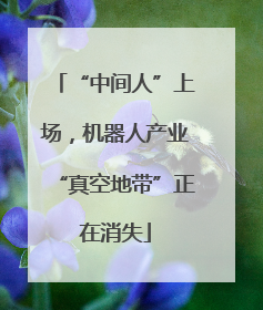 “中间人”上场，机器人产业“真空地带”正在消失