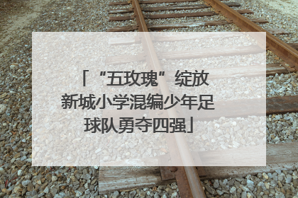 “五玫瑰”绽放 新城小学混编少年足球队勇夺四强