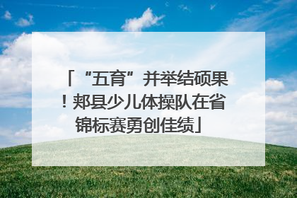 “五育”并举结硕果！郏县少儿体操队在省锦标赛勇创佳绩