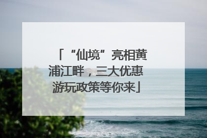 “仙境”亮相黄浦江畔，三大优惠游玩政策等你来
