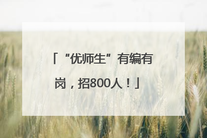 “优师生”有编有岗，招800人！