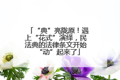 “典”亮陇原！遇上“花式”演绎，民法典的法律条文开始“动”起来了