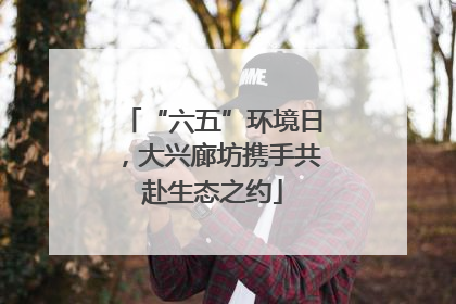 “六五”环境日，大兴廊坊携手共赴生态之约
