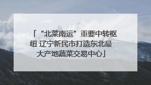 “北菜南运”重要中转枢纽 辽宁新民市打造东北最大产地蔬菜交易中心