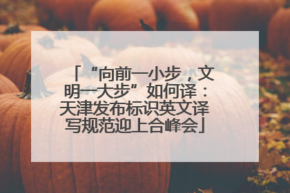 “向前一小步，文明一大步”如何译：天津发布标识英文译写规范迎上合峰会