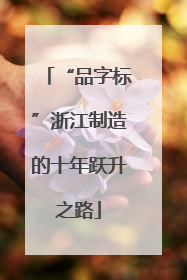 “品字标”浙江制造的十年跃升之路