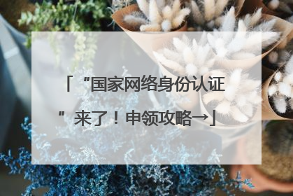 “国家网络身份认证”来了！申领攻略→
