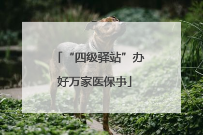 “四级驿站”办好万家医保事