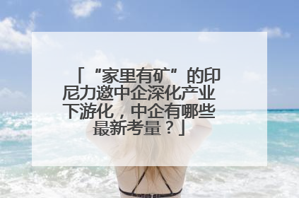 “家里有矿”的印尼力邀中企深化产业下游化，中企有哪些最新考量？