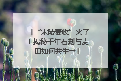 “宋陵麦收”火了！揭秘千年石刻与麦田如何共生→