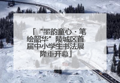 “墨韵童心・笔绘韶华”陵城区首届中小学生书法展隆重开幕