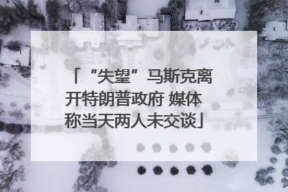 “失望”马斯克离开特朗普政府 媒体称当天两人未交谈