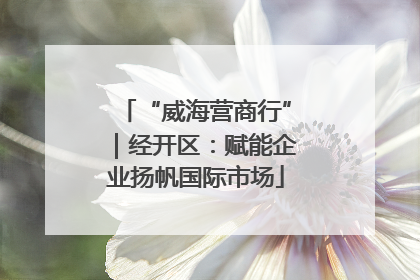 “威海营商行”｜经开区：赋能企业扬帆国际市场