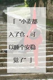 “小麦都入了仓，可以睡个安稳觉了”