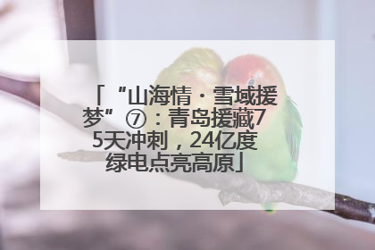 “山海情・雪域援梦”⑦：青岛援藏75天冲刺，24亿度绿电点亮高原