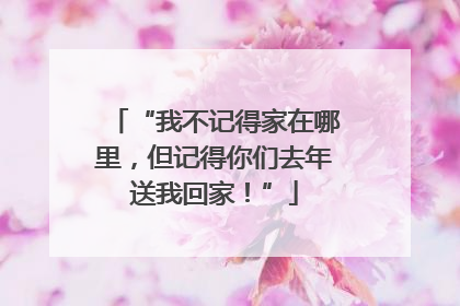 “我不记得家在哪里，但记得你们去年送我回家！”