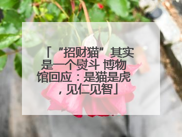 “招财猫”其实是一个熨斗 博物馆回应：是猫是虎，见仁见智