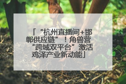 “杭州直播间+邯郸供应链”！角兽营“跨域双平台”激活鸡泽产业新动能