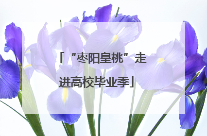 “枣阳皇桃”走进高校毕业季