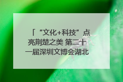 “文化+科技”点亮荆楚之美 第二十一届深圳文博会湖北馆抢“鲜”看