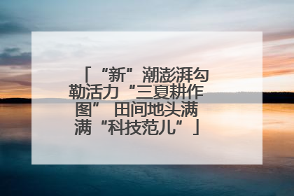 “新”潮澎湃勾勒活力“三夏耕作图” 田间地头满满“科技范儿”