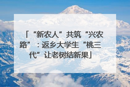 “新农人”共筑“兴农路”：返乡大学生“桃三代”让老树结新果
