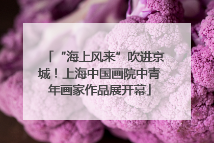 “海上风来”吹进京城！上海中国画院中青年画家作品展开幕