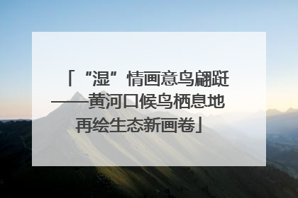 “湿”情画意鸟翩跹——黄河口候鸟栖息地再绘生态新画卷