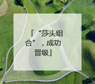 “莎头组合”，成功晋级