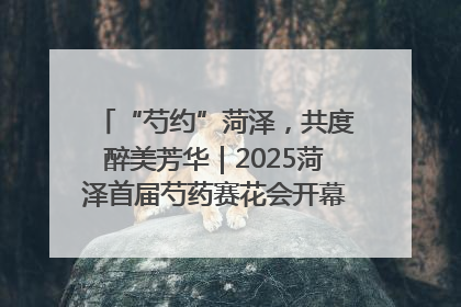 “芍约”菏泽，共度醉美芳华｜2025菏泽首届芍药赛花会开幕，103家企业参赛