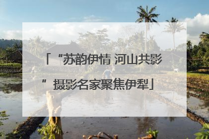 “苏韵伊情 河山共影”摄影名家聚焦伊犁
