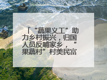 “蔬果义工”助力乡村振兴，归国人员反哺家乡，“果蔬村”村美民富香飘远近