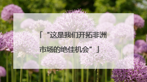 “这是我们开拓非洲市场的绝佳机会”
