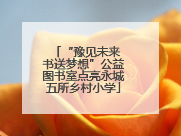 “豫见未来 书送梦想”公益图书室点亮永城五所乡村小学